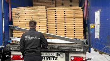 Вантажівку з контрабандним дубом вилучили на кордоні на Львівщині