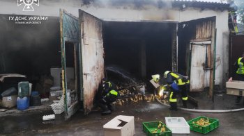 У Бродах згоріло заживо 350 каченят 