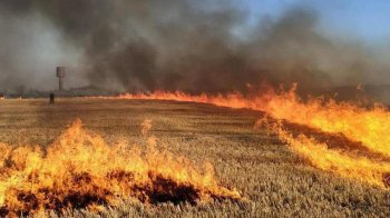 На Львівщині попереджають про пожежну небезпеку