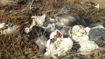 У Львові на вулиці Винниківській виявили сміттєзвалище