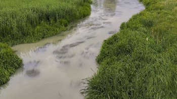 річка Верещиця