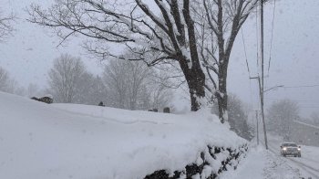 На Львівщині 13 січня прогнозують туман та ожеледь