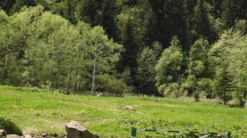 На Сколівщині відкриють веломаршрут і прокат велосипедів: скільки це коштуватиме
