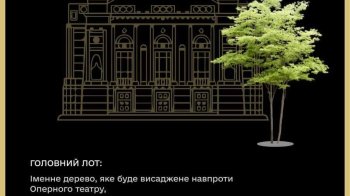 У Львові можна придбати іменне дерево на підтримку ЗСУ: як долучитися