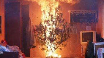 Може створити загрозу: рятувальники нагадали про правила поводження із ялинками