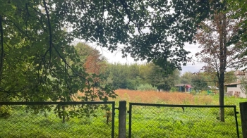 У Бродах місцева підприємиця за 3,1 млн грн купила землю під торгові будівлі