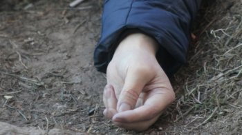 У Шептицькому знайшли вбитим 11-річного хлопця