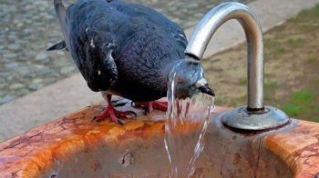 як перечекати спеку в будинку