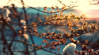 На Львівщині в середу прогнозують до +17° вдень