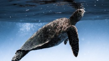 23 травня: церковні свята, іменинники, прикмети та заборони