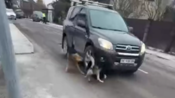 У Львові водій позашляховика переїхав собаку