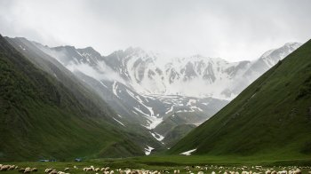 13 липня: церковні свята, іменинники, прикмети та заборони