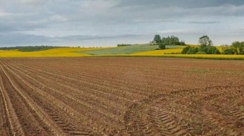 На Львівщині майже 300 гектарів землі незаконно передали в оренду