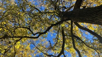 Без істотних опадів: синоптики розповіли про погоду 4 січня