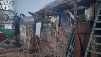 Десятки тварин та тонни зерна згоріли у дерев’яному сараї на Львівщині