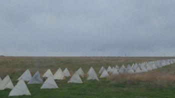 Зуби дракона вздовж кордону