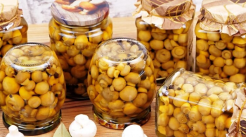 Консервовані гриби