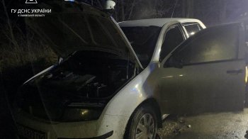 На Львівщині під час руху загорілась «Skoda Fabia», пожежу гасили рятувальники (фото)