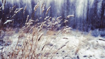 Мокрий сніг та ожеледиця: якою буде погода на Львівщині 6 січня