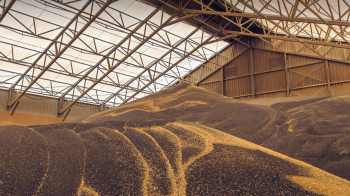 Львівська компанія з торгівлі добривами приховала 8 млн грн податків