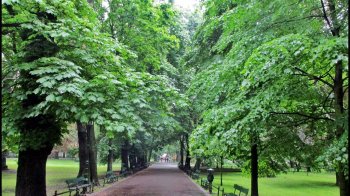 У Кракові буде сквер "Вільної України"