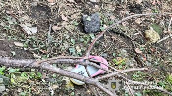 55-річна львів’янка випала з вікна своєї квартири і розбилась на смерть