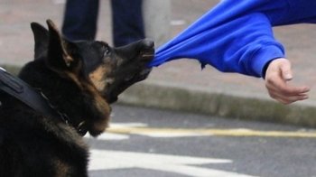 На залізничному вокзалі Львова собака кидався на людей