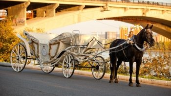 Кінь з каретою