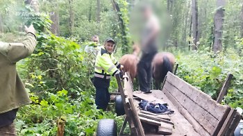 Заблукалий