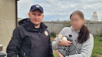 У львівської лікарки забрали кота, якого фломастерами розмалювала дочка
