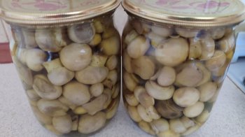 Смачно по-галицьки: мариновані печериці