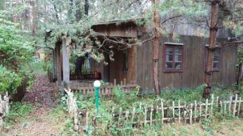 Через борги на Львівщині чоловіка зобов’язали повернути майже гектар лісу