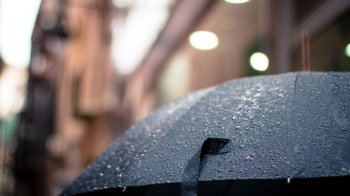 Незамінний аксесуар Львова: обираємо парасолю