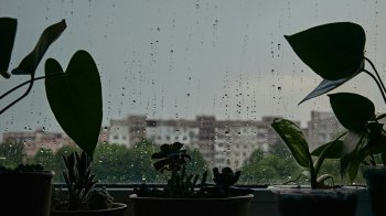 Штормове попередження на Львівщині: похолодання, грози та шквали