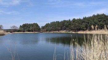 У Суховолі в озері втопилася 58-річна жінка