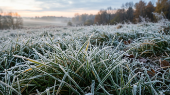 На Львівщині оголосили штормове попередження через заморозки та сильний вітер