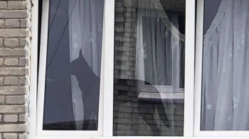 У Червонограді собаку надовго зачинили у квартирі: тварина у клініці, на господарів написали заяву