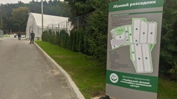 Біля Львова відкрили перший в Україні лісовий розсадник