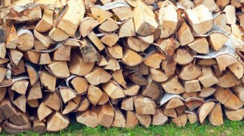 Суд оштрафував лісничого з Бродів за хабарництво під час продажу дров