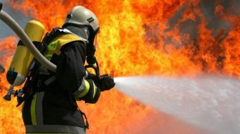 Львівські пожежники врятували собаку та евакуювали 6 мешканців з палаючої квартири