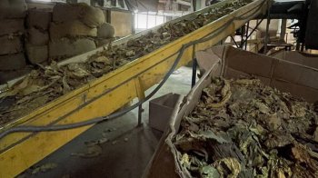 На Львівщині проводять обшуки на території тютюнової фабрики