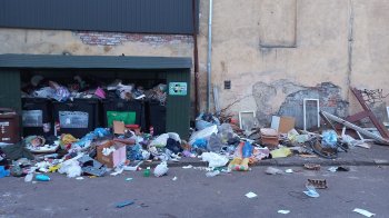 Ситуація критична: львів’яни скаржаться на гори сміття, що «ростуть» на одній із вулиць міста