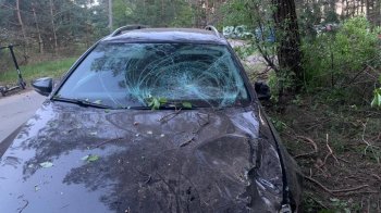 На Львівщині 17-річний водій наїхав на жінку з однорічною дитиною