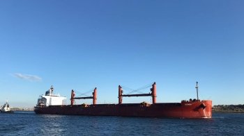 Ще 8 суден з агропродукцією вийшли з українських портів сьогодні