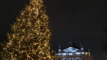 Новорічну ялинку у Львові встановлять 17 грудня