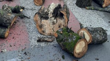 У Рудках підліток впав з вантажівки з дровами і загинув