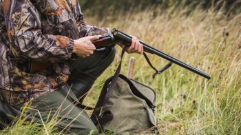 На Львівщині розшукують браконьєрів, які застрелили п’ять диких кабанів