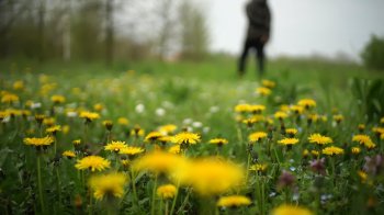 13 травня: церковні свята, іменинники, прикмети та заборони