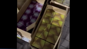 Троє мешканців Львівщини намагалися незаконно провезти через кордон електронні сигарети на 2,5 млн грн