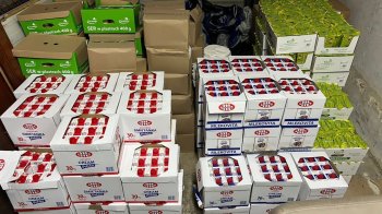 Мешканка Львівщини спробувала незаконно ввезти з-за кордону понад дві тонни сиру